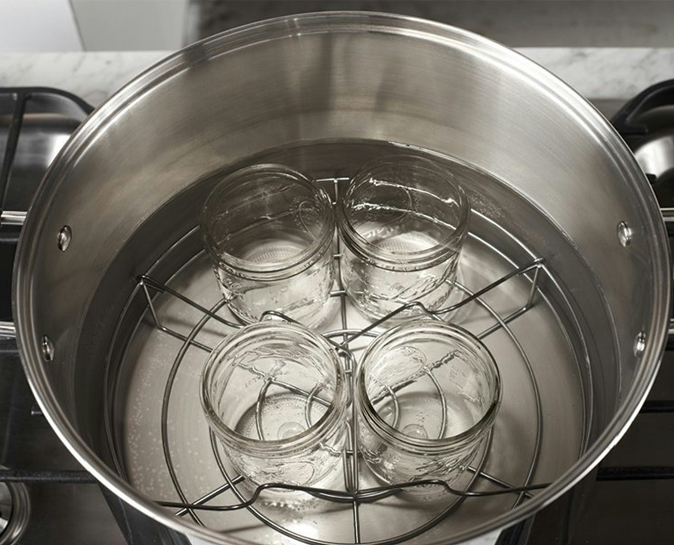 Just Canning: A Step-by-Step Guide to Steam Canning and Lid Safety