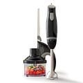 immersion blender and food processor