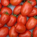 Roma tomatoes