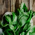 basil leaves