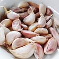 cloves garlic