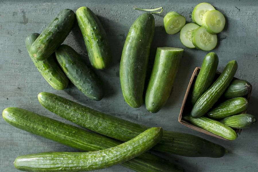fresh cucumbers in market