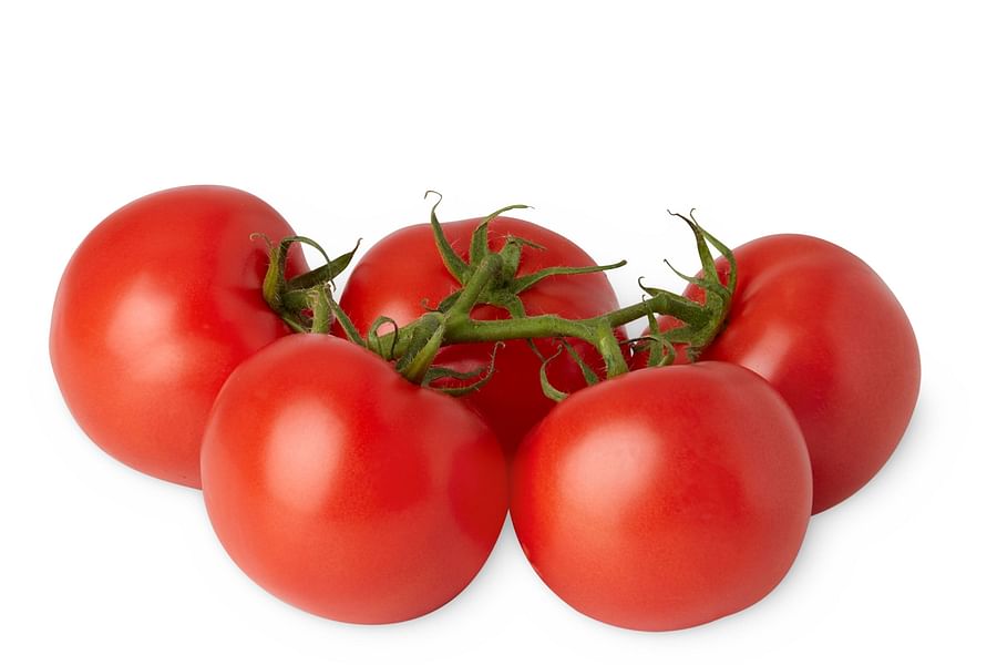 ripe tomatoes on vine