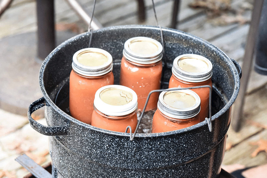 Instant Pot Canning Revolutionizing Traditional Canning Methods