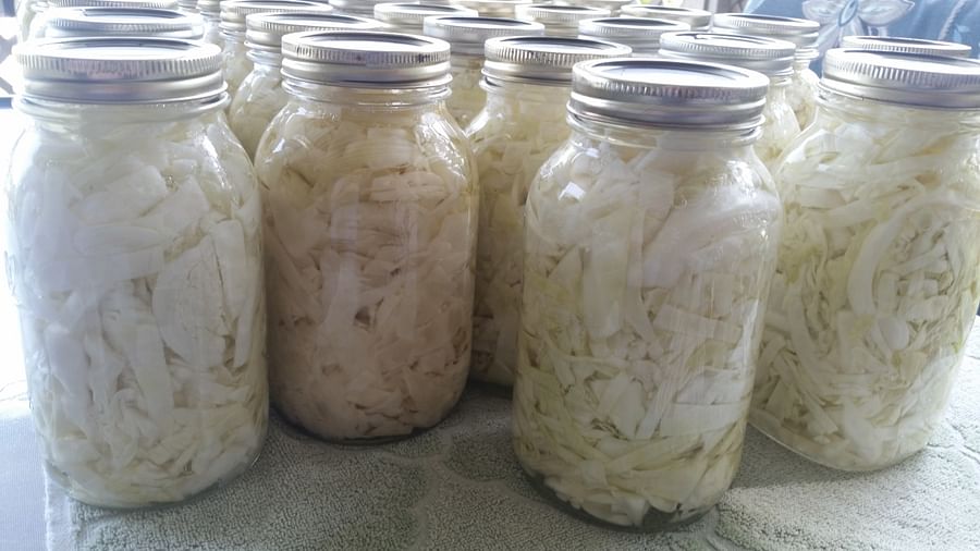 Variety of canned cabbage in glass jars