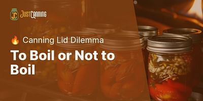 To Boil or Not to Boil - 🔥 Canning Lid Dilemma