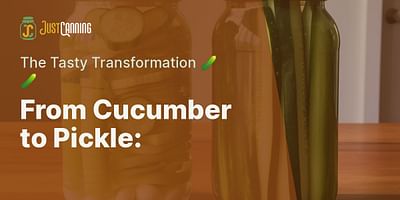 From Cucumber to Pickle: - The Tasty Transformation 🥒🥒